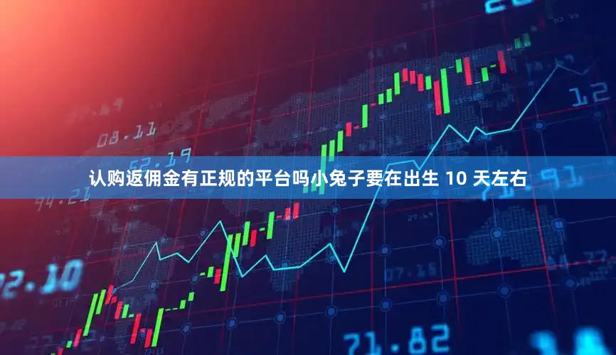 认购返佣金有正规的平台吗小兔子要在出生 10 天左右