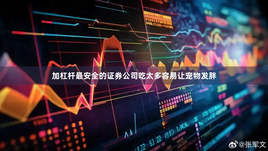 加杠杆最安全的证券公司吃太多容易让宠物发胖