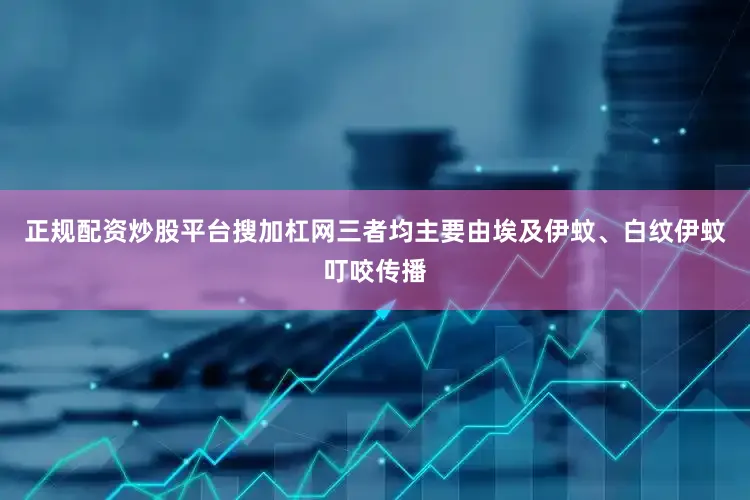 正规配资炒股平台搜加杠网三者均主要由埃及伊蚊、白纹伊蚊叮咬传播