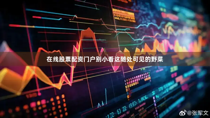在线股票配资门户别小看这随处可见的野菜